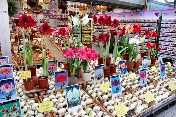 سوق الزهور العائم FqItr