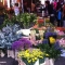 سوق زهور شارع كلومبيا 