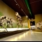 متحف ميلانو للتاريخ الطبيعي