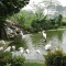 حديقة الطيور