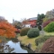 الحديقة النباتية كويشيكاوا