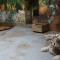 حديقة حيوان براتيسلافا