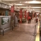 متحف النقل في نيويورك