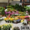 سوق الزهور والنباتات