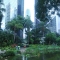 حديقة هونج كونج