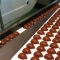 مصنع الشوكولا السويسرية مايستراني