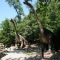 حديقة حيوان براتيسلافا