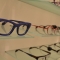 متجر نظارات أوج & بريل