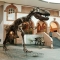 متحف سنكينبيرج للتاريخ الطبيعي